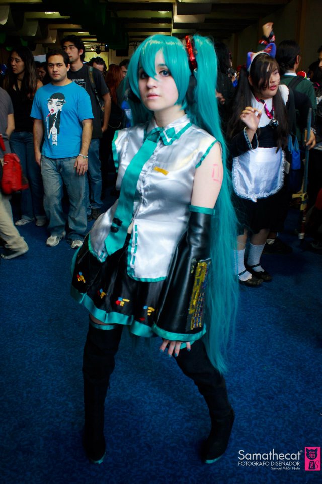 miku cosplay