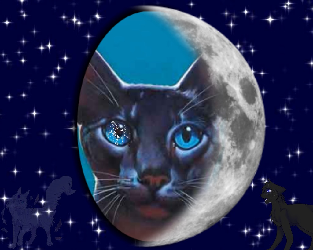 Crowfeather Photoshop