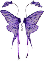 Purple Luna Moth Fairy Wings