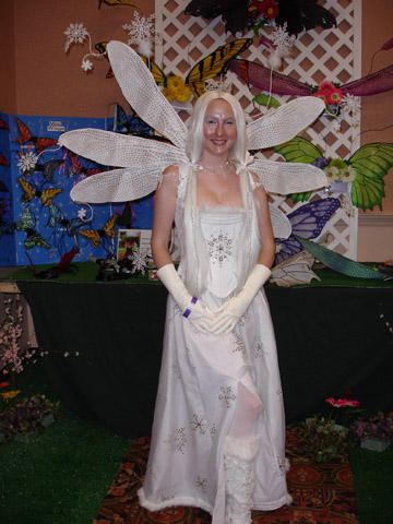 winter faerie dress Happy Holidays From Fancy Fairy Fancy Fairy Wings & Things