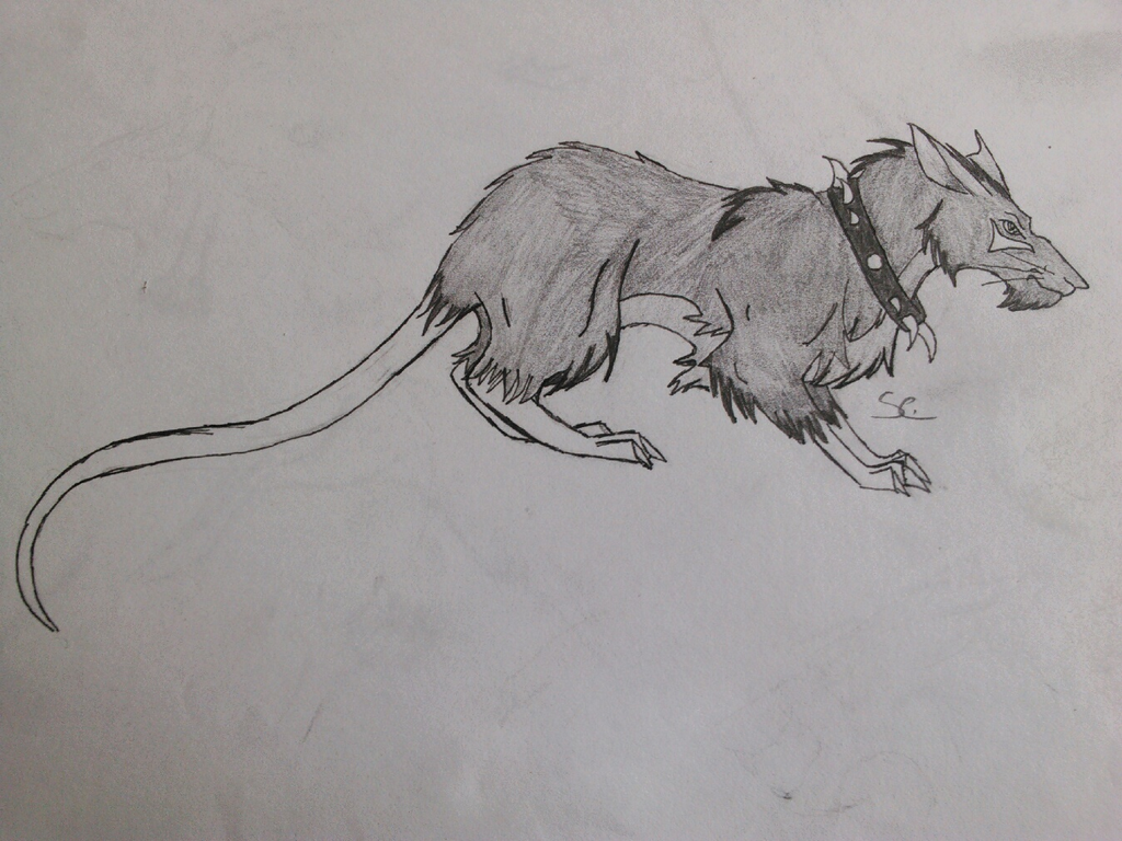 Rat Deviantart Rat by Slcooper22 on DeviantArt