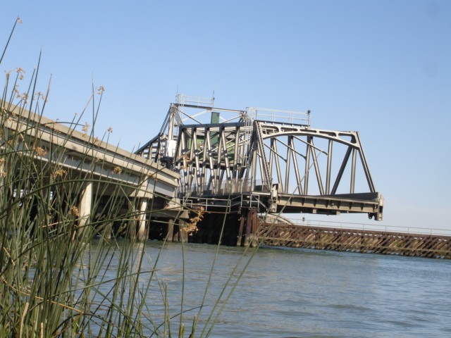 Nature Bridge