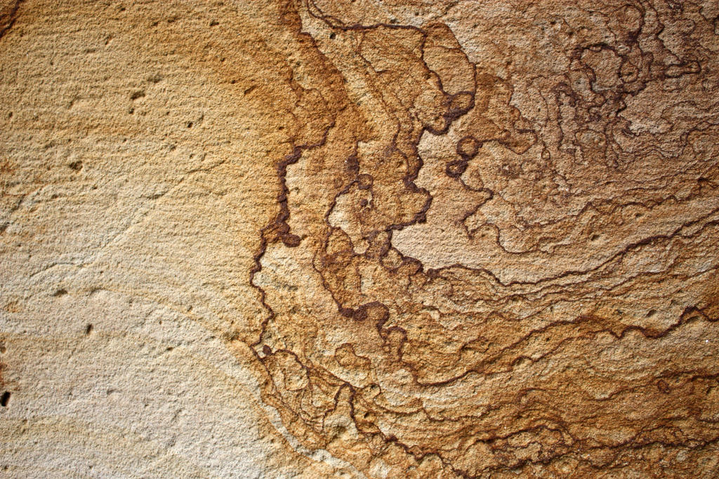 old_stock_texture_02 by hookywooky on DeviantArt
