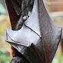 Batty 001