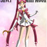 Silver Sailor Mini Moon Update