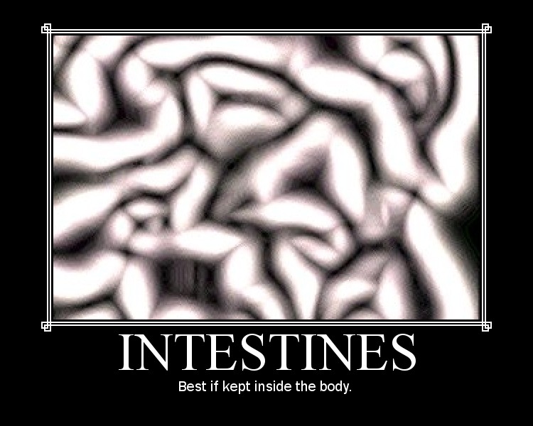 INTESTINES MOTIVATOR