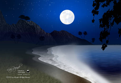 Moonlight on the beach