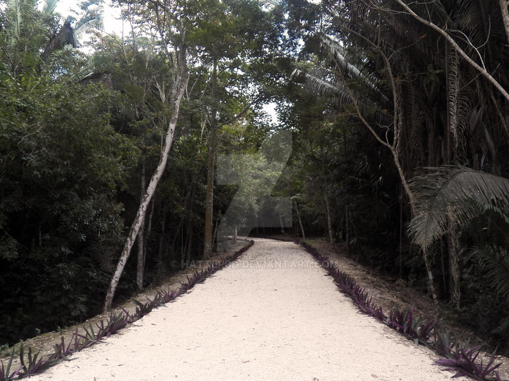 White Path Pattern The white path by HatterBD on DeviantArt