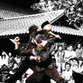 Pencak Silat - Martial Art