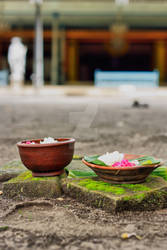 Offerings