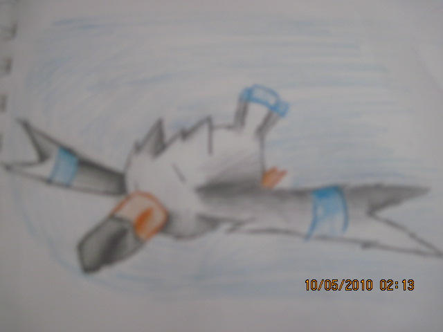 Wingull by twilightthecat on DeviantArt