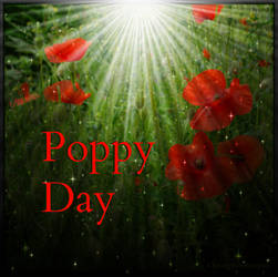 Poppy Day 2015