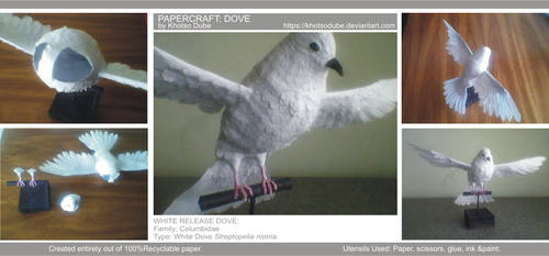 Papercraft - Dove by KhotsoDube