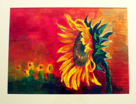 Sunflower