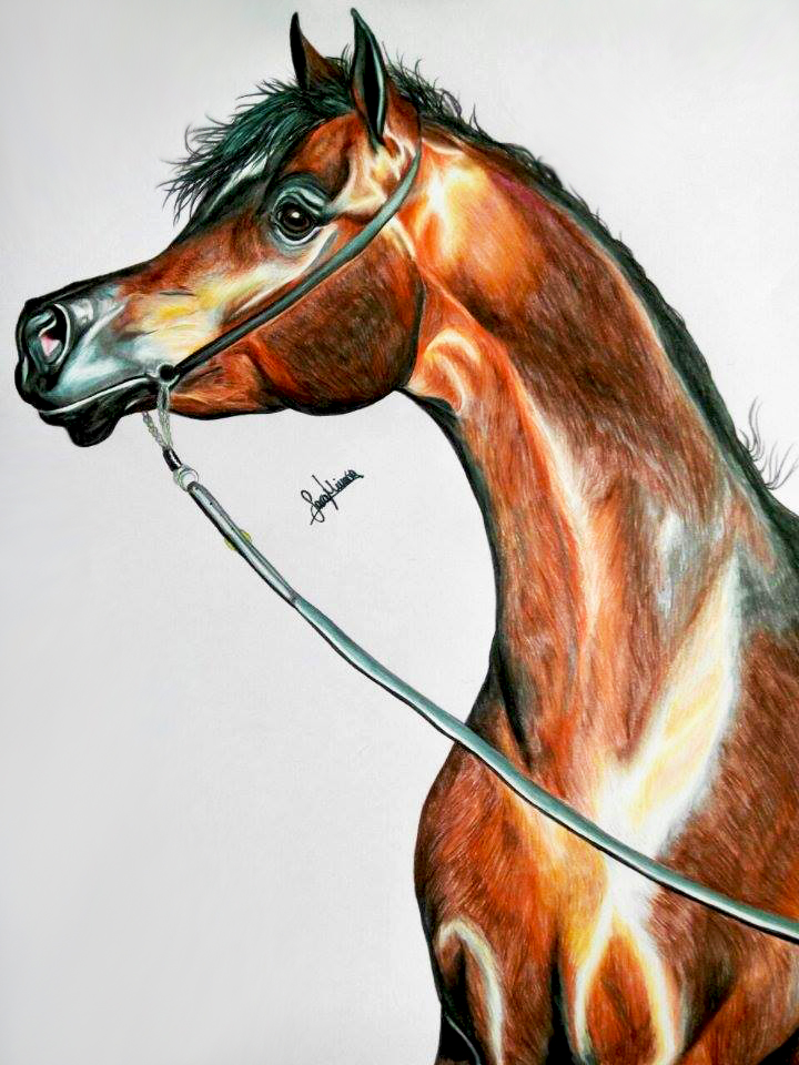 Ibn Raad by Mine96