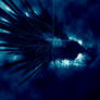 Ocean Dream