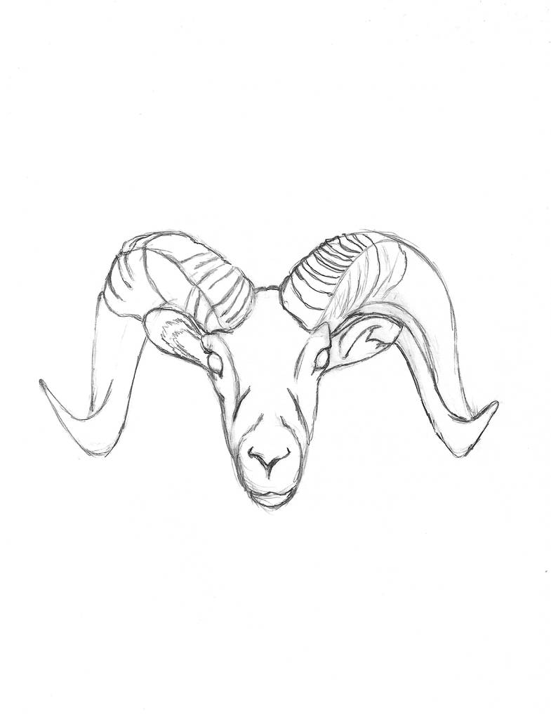 Ram drawing for Banished God series by GrumpyGorillaGraphic on DeviantArt