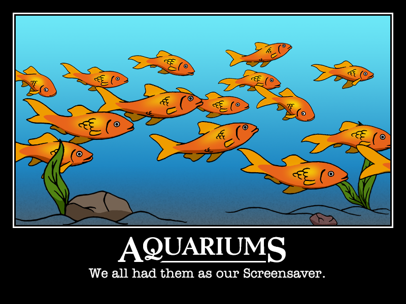 Aquarium Motivational Poster