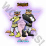 Swat Kats Jetman Squadron Tshirt Decal