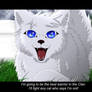 Kittypet