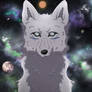 Wolf space
