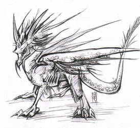 Vispro Dragon