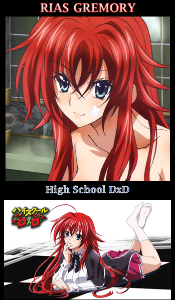 Rias Gremory's Peerage, High School DxD Wiki