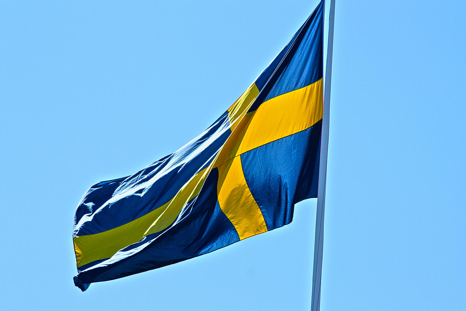 Swedish flag 2