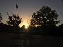 Sunset from the avenue