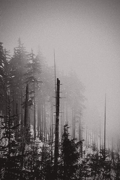 ekkoet av stillhet II by slavic-frost ekkoet av stillhet II by slavic-frost