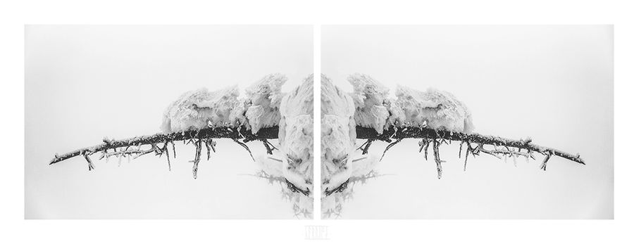 lapset pakkasen I by slavic-frost lapset pakkasen I by slavic-frost