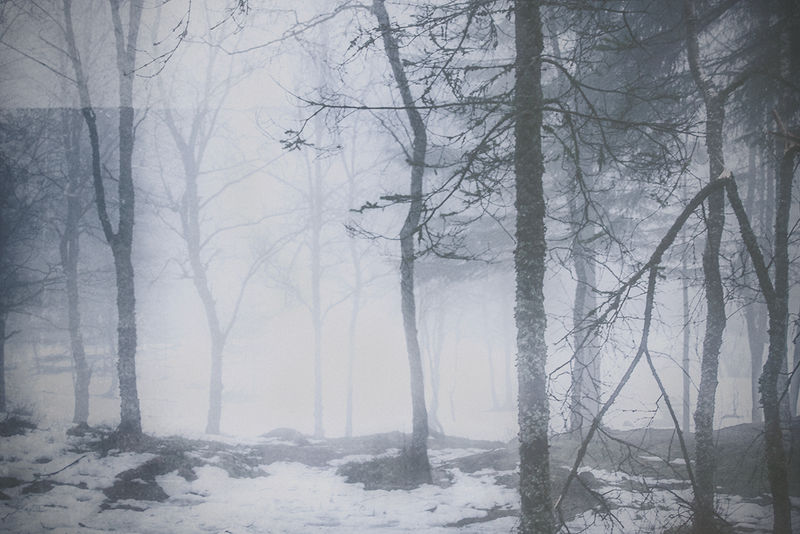 _ by slavic-frost _ by slavic-frost