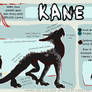 Kane Reference Sheet