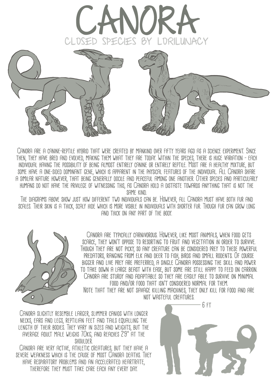 NEW 2016 {Canora Species Sheet}