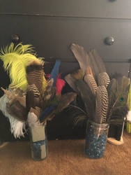 Feather collection