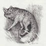 Wolfox