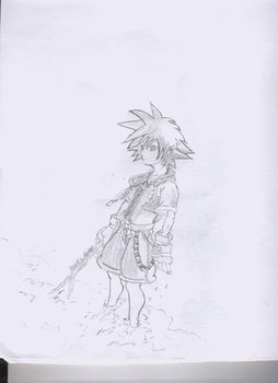 sora on beach