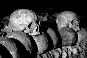Skulls from the Catacombes