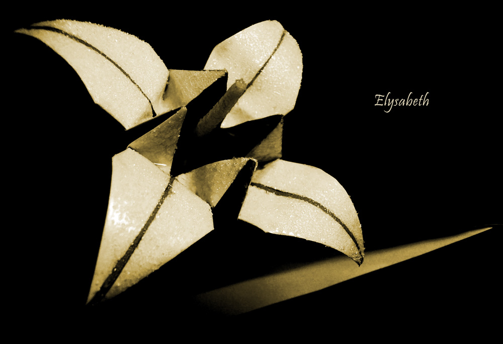 Origami