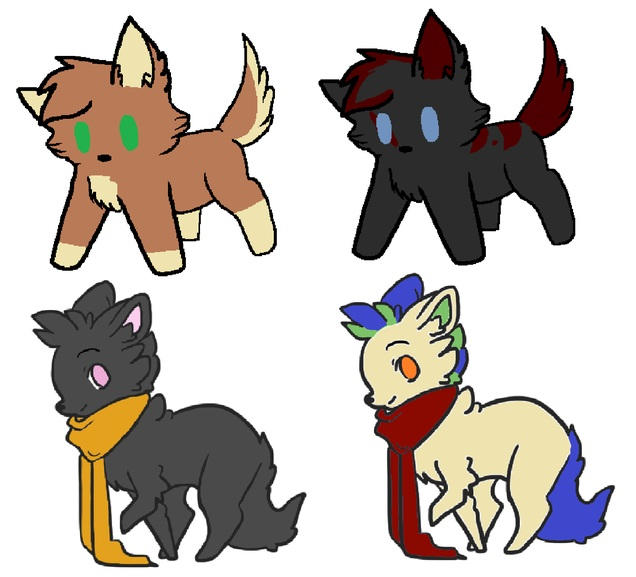 Unsold Canine Adopt