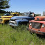 Lineup of abandoned trucks