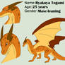 Togami dragon form