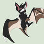 Bat with vitiligo adopt
