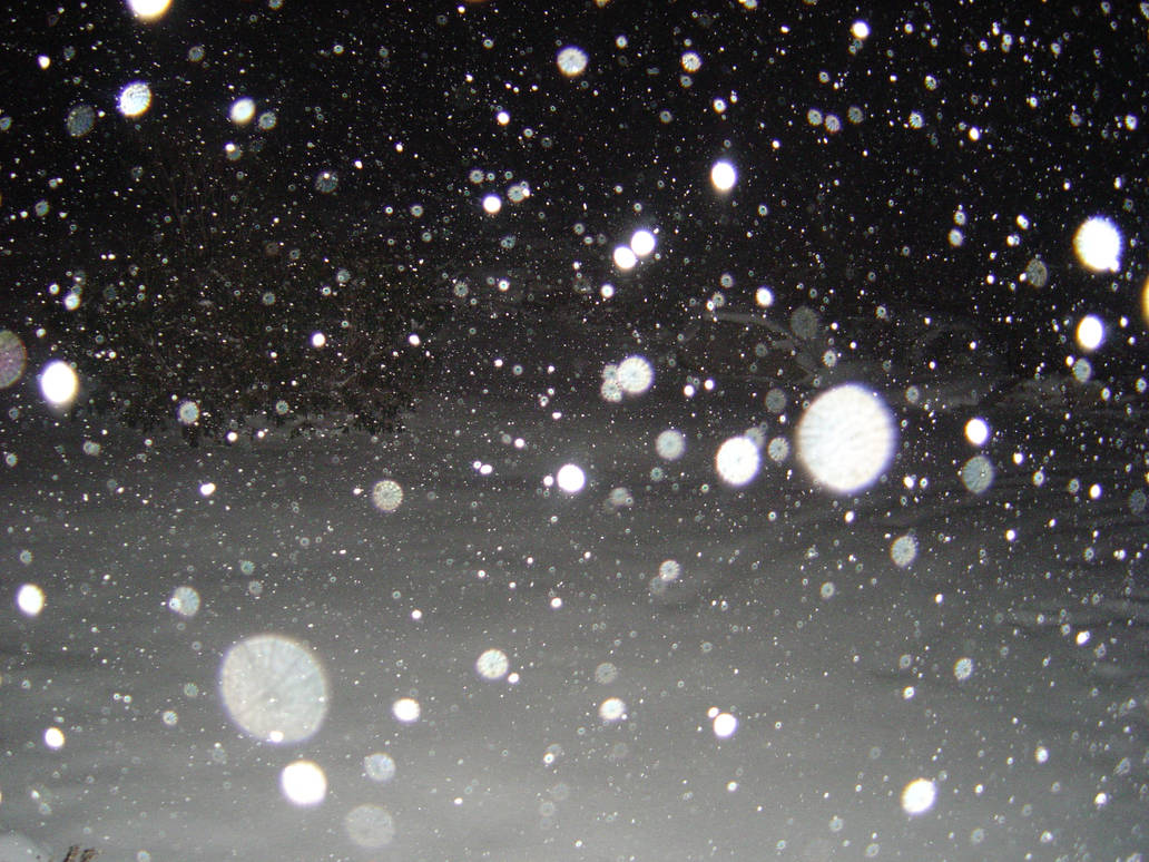 Снег падает крупными хлопьями. Хлопья снега. Снег текстура. Огромные хлопья снега. Белые хлопья снега.