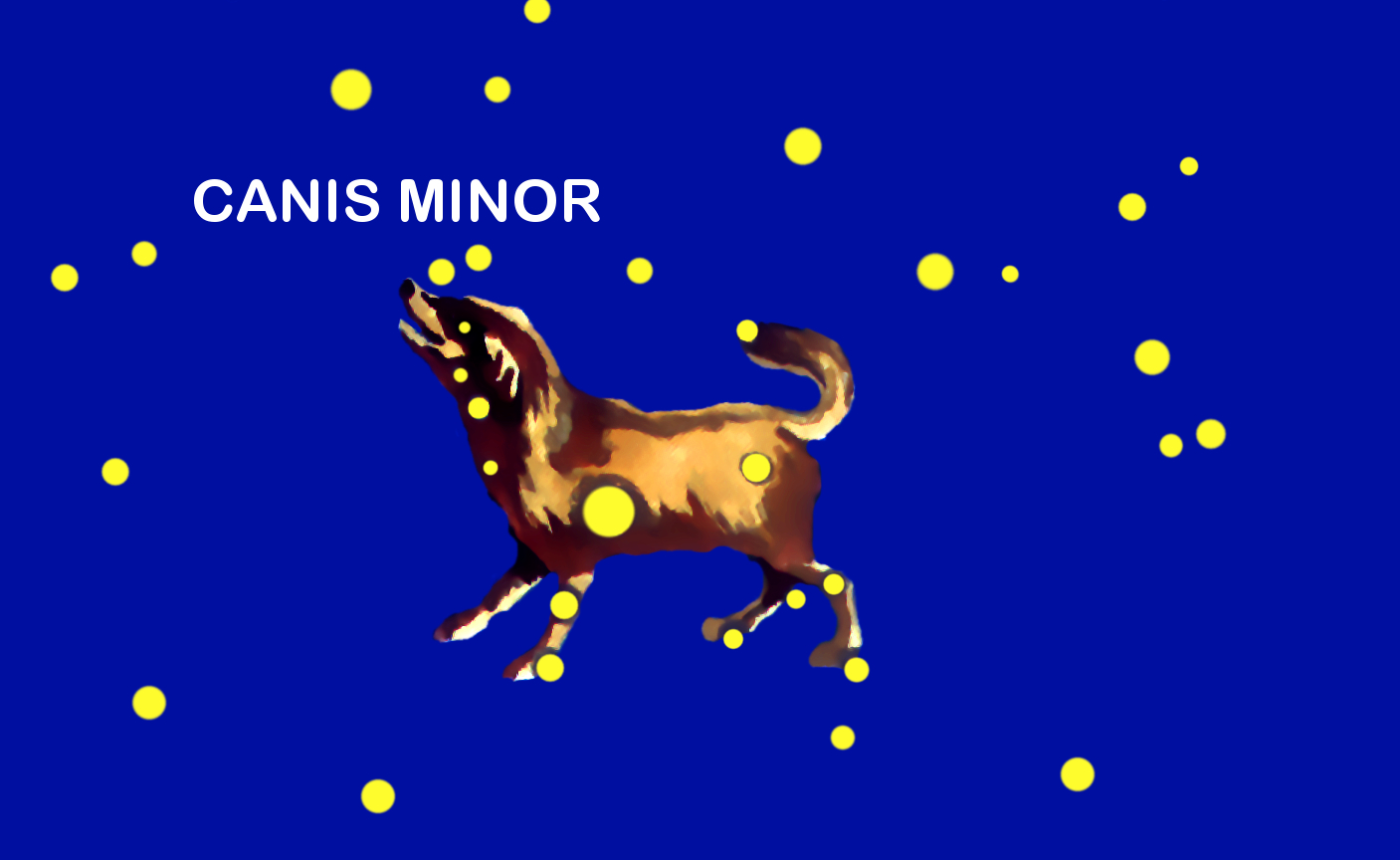 Constellation Canis minor