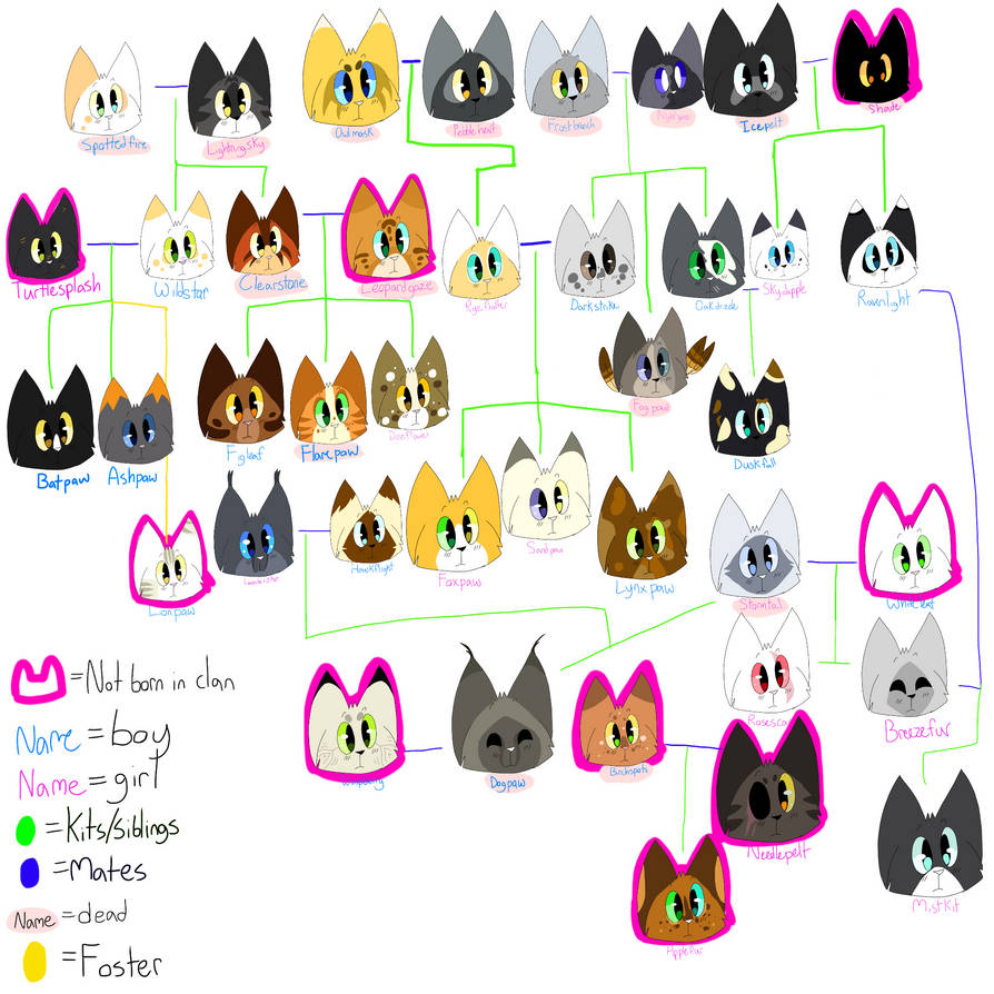Shadowclan Tree ShadowClan Family Tree (Spoilers) by StyrofoamPaws on DeviantArt