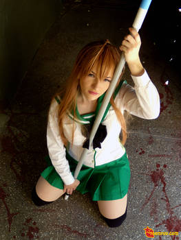 Highschool of The Dead