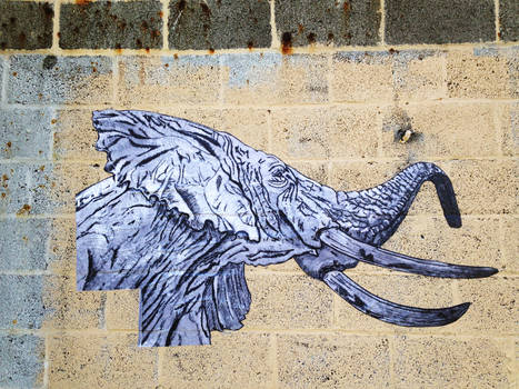 Bull Elephant Wheatpaste by Street Artist TOVEN