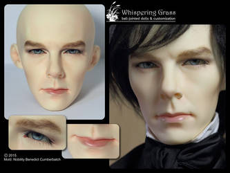 Nobility Benedict Cumberbatch faceup by scargeear