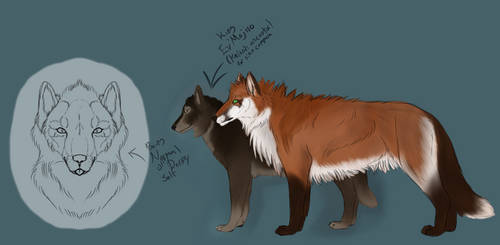 TF: Jackson Remake and Updated Lycanthropy Lore